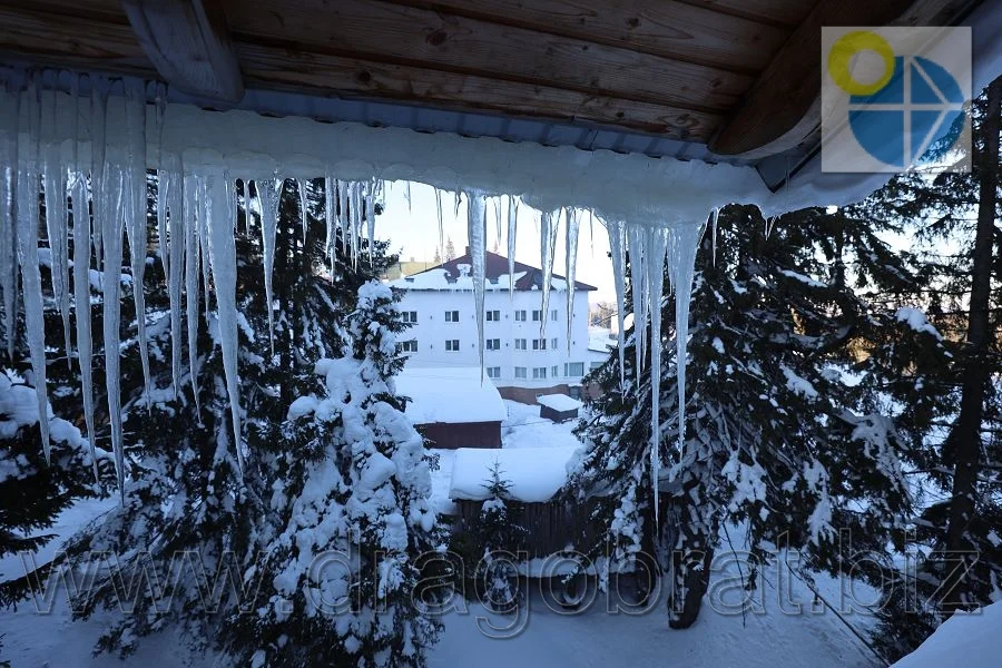 Драгобрат.Приватна садиба Пролісок