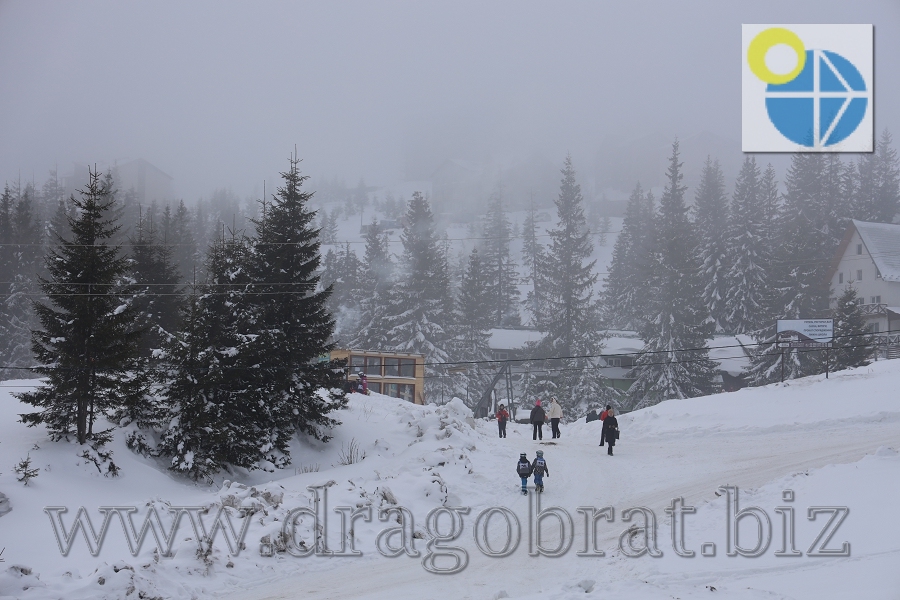 Драгобрат.Глемпінги Перлина Карпат