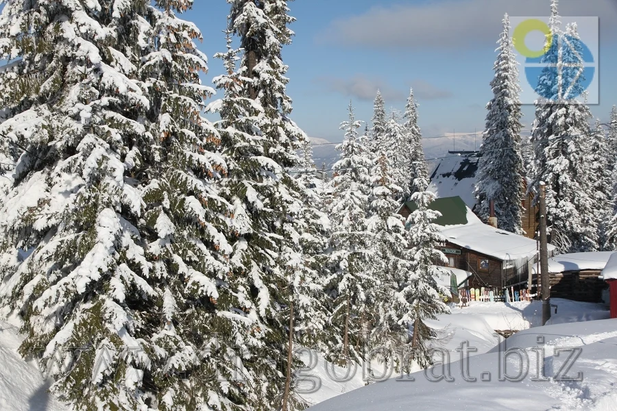 Драгобрат Готель Вотавілю.