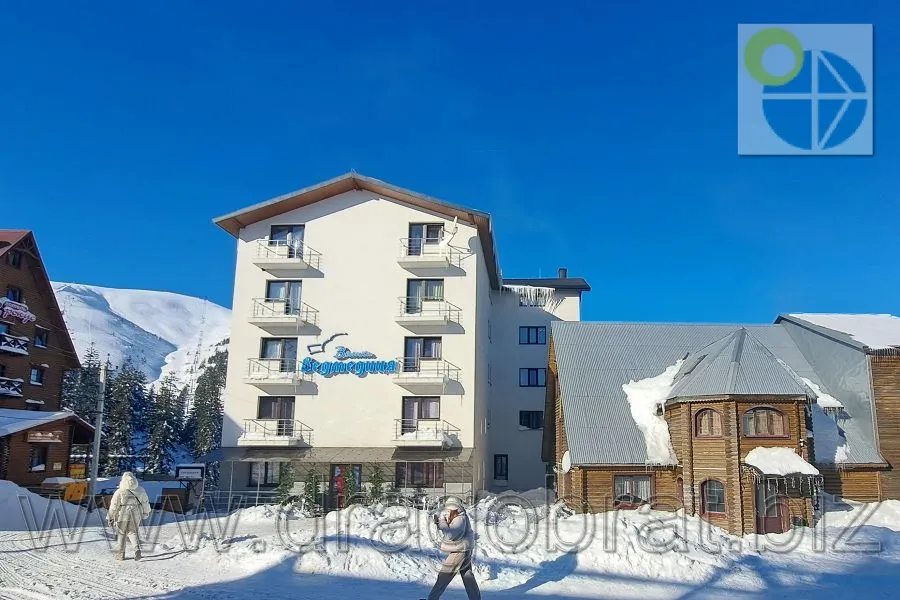 Драгобрат.Готель Велика ведмедиця.