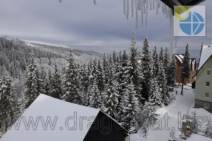 Готель Велика ведмедиця