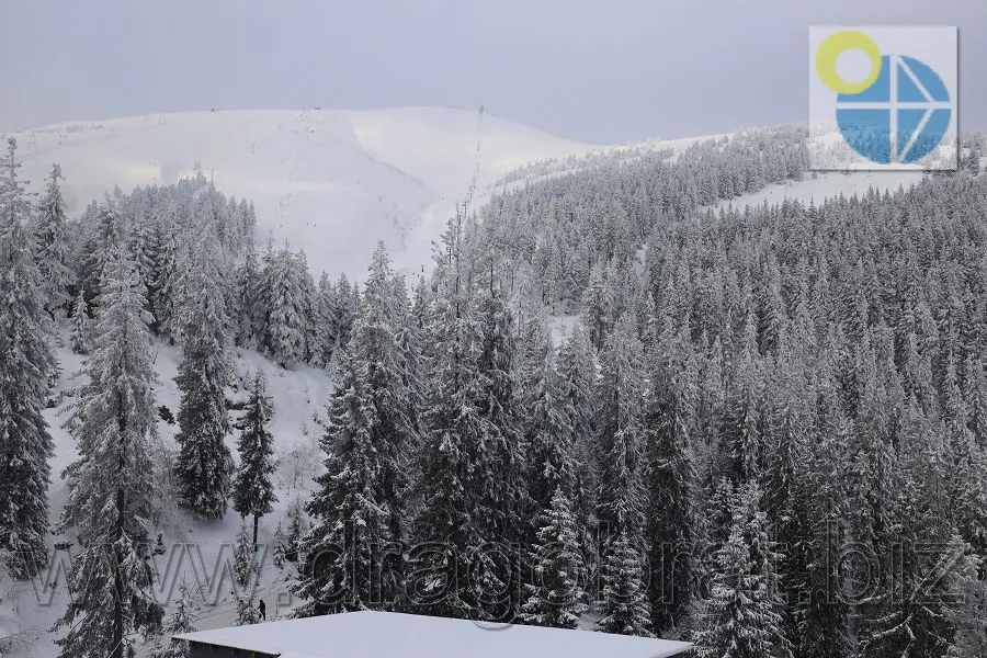 Драгобрат Готель Велика ведмедиця.