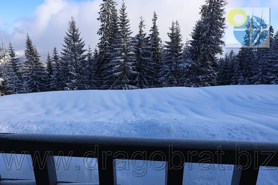 Драгобрат Котеджі Family home(Фемелі хоме).