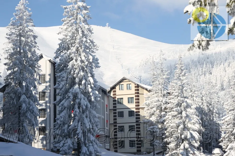 Драгобрат. Grand Lion