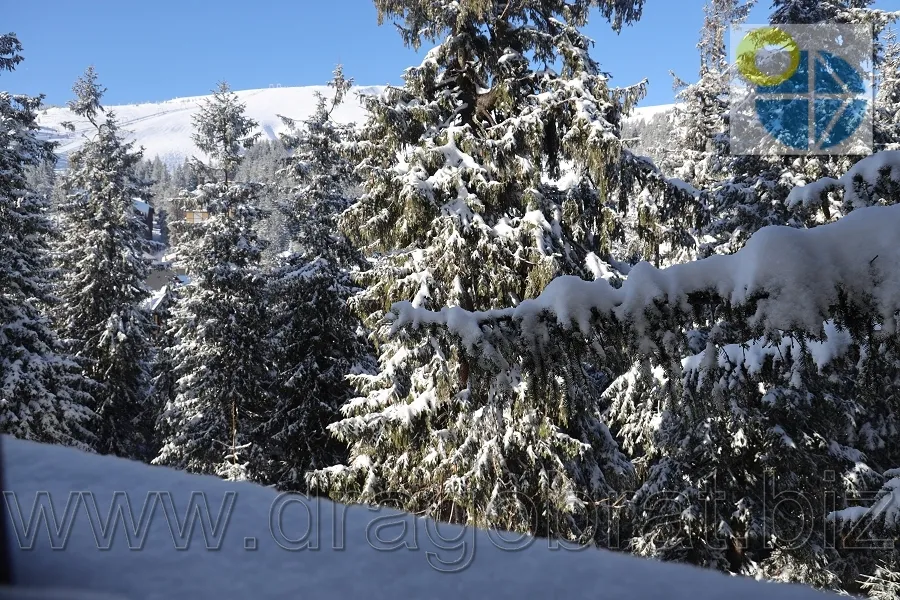 Драгобрат Готель Grand Lion.